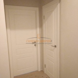 Фото межкомнатных дверей с эмалью