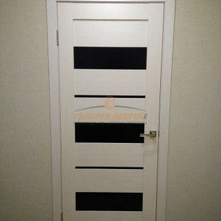 Фото межкомнатных дверей с экошпоном 3
