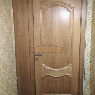 Фото межкомнатных шпонированных дверей