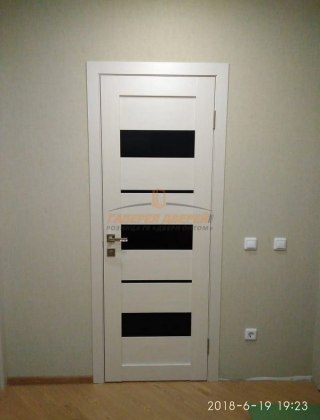 Фото межкомнатных дверей с экошпоном 38