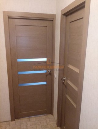 Фото межкомнатных дверей с экошпоном 48