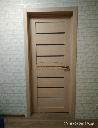 Фото межкомнатных дверей с экошпоном 49